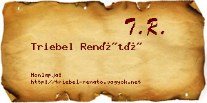 Triebel Renátó névjegykártya
